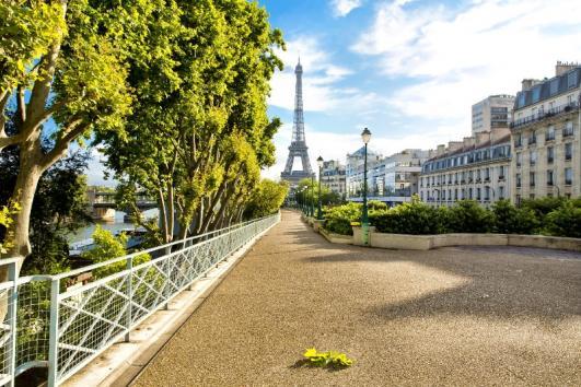 avocat droits des grands parents